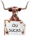 Click image for larger version

Name:	bevo_ou_sucks_local.jpg
Views:	126
Size:	21.9 KB
ID:	940735